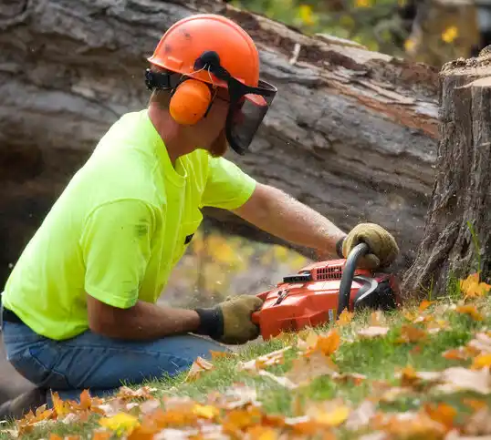 tree services Chagrin Falls